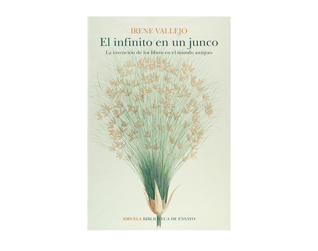 image 2026 02 09T144051.795