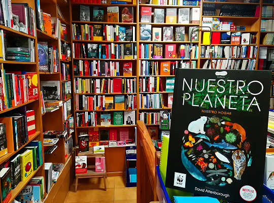 image 2026 02 09T152942.503